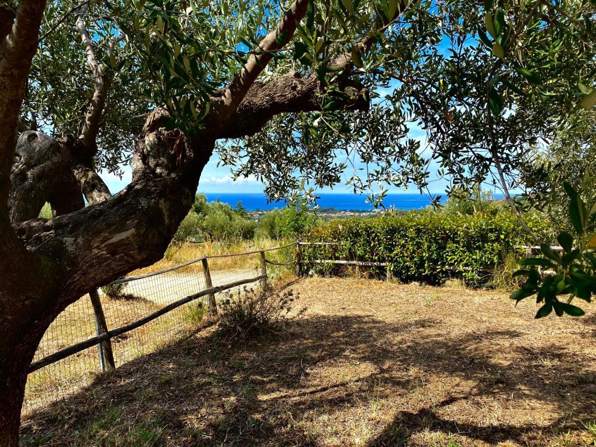 Villa Chiara Ascea Bagian luar foto